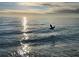 Pelican flying over sparkling ocean water at sunrise at 4621 Gulf Of Mexico Dr # D10, Longboat Key, FL 34228