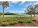 View of the lush green golf course, framed by palm trees and blue skies at 4825 Benito Ct, Bradenton, FL 34211