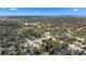 An expansive suburban community with tree-lined streets and a variety of housing styles at 10206 Lola St, Tampa, FL 33612