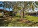 Backyard of home with tree, grass, and neighboring homes at 1669 Fry Ct, Dunedin, FL 34698