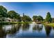 Serene pond with fountain in a residential community at 1669 Fry Ct, Dunedin, FL 34698