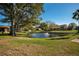 Community pond with fountain and ducks at 1669 Fry Ct, Dunedin, FL 34698