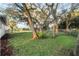 Side yard with mature oak trees and a grassy lawn at 6602 S Emerson Ave, St Petersburg, FL 33707