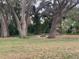 Spacious backyard with mature trees and lush landscaping at 1009 Black Knight Dr, Valrico, FL 33594