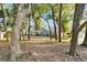 House backyard with mature trees and landscaping at 9402 Forest Hills Cir, Tampa, FL 33612