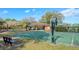 Outdoor community basketball court with picnic shelter nearby at 12818 Royal George Ave, Odessa, FL 33556
