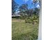 View of backyard with mature trees and grass at 5357 Cobblestone Ct, Wesley Chapel, FL 33543