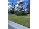 Landscaped backyard with lush green grass at 5357 Cobblestone Ct, Wesley Chapel, FL 33543