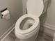 Simple bathroom with toilet and light wood-look flooring at 5357 Cobblestone Ct, Wesley Chapel, FL 33543
