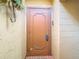 Solid wood door to private patio or backyard at 4405 Vieux Carre Cir # 46, Tampa, FL 33613