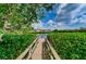 Wooden walkway leading to a waterfront view at 4580 Overlook Ne Dr # 297, St Petersburg, FL 33703
