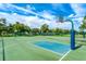 Outdoor community basketball court with multiple hoops at 12038 Steppingstone Blvd, Tampa, FL 33635