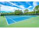 Two well-maintained tennis courts at 12038 Steppingstone Blvd, Tampa, FL 33635