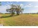 Spacious lot with mature trees and distant water views at 924 Bunker View Dr, Apollo Beach, FL 33572