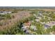 Aerial view showing a home surrounded by trees and other houses at 18214 Stillwell Ln, Tampa, FL 33647
