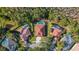 Three homes with private pools, aerial view at 18214 Stillwell Ln, Tampa, FL 33647
