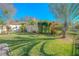 Landscaped backyard with lush lawn and tropical plants at 1000 Chillum Ct, Safety Harbor, FL 34695
