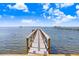 Private wooden dock extending into the calm waters at 1340 Bayshore Blvd # 407, Dunedin, FL 34698