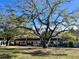 Community view showing building exteriors and landscaping at 2991 Flint S Dr # 77-D, Clearwater, FL 33759