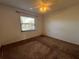 Bright bedroom with carpeted floor and ceiling fan at 2991 Flint S Dr # 77-D, Clearwater, FL 33759