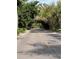 Canopy road view with lush green trees at 6119 Gnarled Oak Ln, Englewood, FL 34223