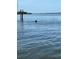 Dolphin in the water near a dock on a sunny day at 6119 Gnarled Oak Ln, Englewood, FL 34223