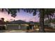 Two-car garage, mature landscaping, and a spacious front yard at dusk at 15106 Meadowlake St, Odessa, FL 33556