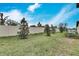 Landscaped backyard with a privacy fence at 17554 Holly Well Ave, Wimauma, FL 33598