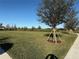 Community green space with neatly trimmed lawn at 17702 Cresswind Ter, Bradenton, FL 34211