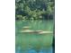 Three manatees in the water near the community dock at 1355 Pinellas Bayway S # 23, Tierra Verde, FL 33715