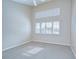 Bright bedroom with neutral walls, carpet, and large windows at 13635 Twin Lakes Ln # 13635, Tampa, FL 33618