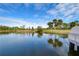 Serene lake view with lush greenery and palm trees at 13635 Twin Lakes Ln # 13635, Tampa, FL 33618
