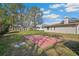 Spacious backyard with mature trees and a concrete slab, offering plenty of room for outdoor enjoyment at 22368 Southshore Dr, Land O Lakes, FL 34639