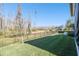 Grass backyard with a metal fence and mature trees in background at 2903 Satilla Loop, Odessa, FL 33556