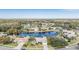 Aerial view of community and home featuring mature trees, pool, and lake at 3360 Hickorywood Way, Tarpon Springs, FL 34688