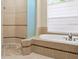 Bathroom with shower and soaking tub at 10106 Radcliffe Dr, Tampa, FL 33626