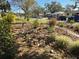 Landscaped front yard with rock pathway and various plants at 143 44Th N Ave, St Petersburg, FL 33703