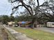 Ranch-style home with carport and large oak trees at 1505 E Park Cir, Tampa, FL 33610