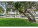 Tranquil park area with mature shade trees, walking path, and waterside seating at 5524 Kentucky Ave, New Port Richey, FL 34652