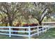 Spacious horse pasture with white rail fencing, mature trees, and three horses at 8345 Shenandoah Run, Wesley Chapel, FL 33544
