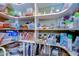 Well-organized pantry with shelving for storage at 8345 Shenandoah Run, Wesley Chapel, FL 33544