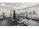 Modern fitness center with various workout machines at 1003 Starboard Ct, Oldsmar, FL 34677