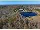 Aerial view showing home and pond at 18409 Tyler Rd, Odessa, FL 33556
