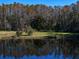 Calm pond with tree reflections and a flag on the shore at 18409 Tyler Rd, Odessa, FL 33556