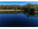 Serene pond reflecting the surrounding trees and sky at 18409 Tyler Rd, Odessa, FL 33556