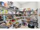 Large walk-in pantry with wire shelving, offering extensive storage at 14672 Horse Trot Rd, Lithia, FL 33547
