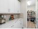 Well-organized pantry with ample shelving for storage at 14672 Horse Trot Rd, Lithia, FL 33547
