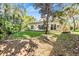 Backyard view of house, featuring a grassy area and patio at 2122 Oak Forest Ln, Palm Harbor, FL 34683