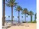 Scenic walkway with palm trees and views of a marina at 12055 Gandy N Blvd # 243, St Petersburg, FL 33702