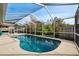 Relaxing kidney-shaped pool with screened enclosure at 8436 Red Roe Dr, New Port Richey, FL 34653
